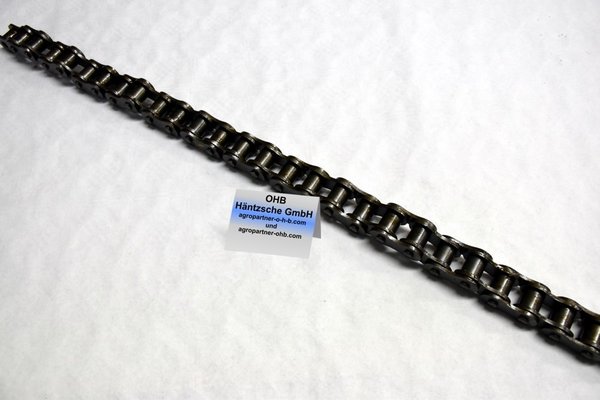 300176406.0 - Rollenkette  10 m[roller chain 10 m]